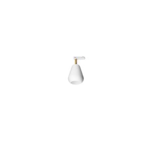 Anoli Spot Track Nordisk Guld/White